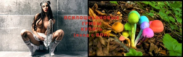 МДПВ Куйбышев