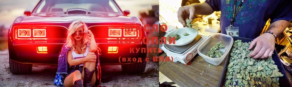синтетический гашиш Ладушкин