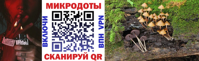 Псилоцибиновые грибы ЛСД  Медвежьегорск 